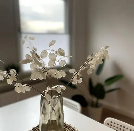 Ruhig Und Zentral Wohnen! Ma3r * 埃森