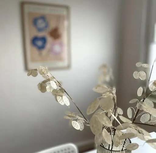 公寓 Ruhig Und Zentral Wohnen! Ma3r 埃森